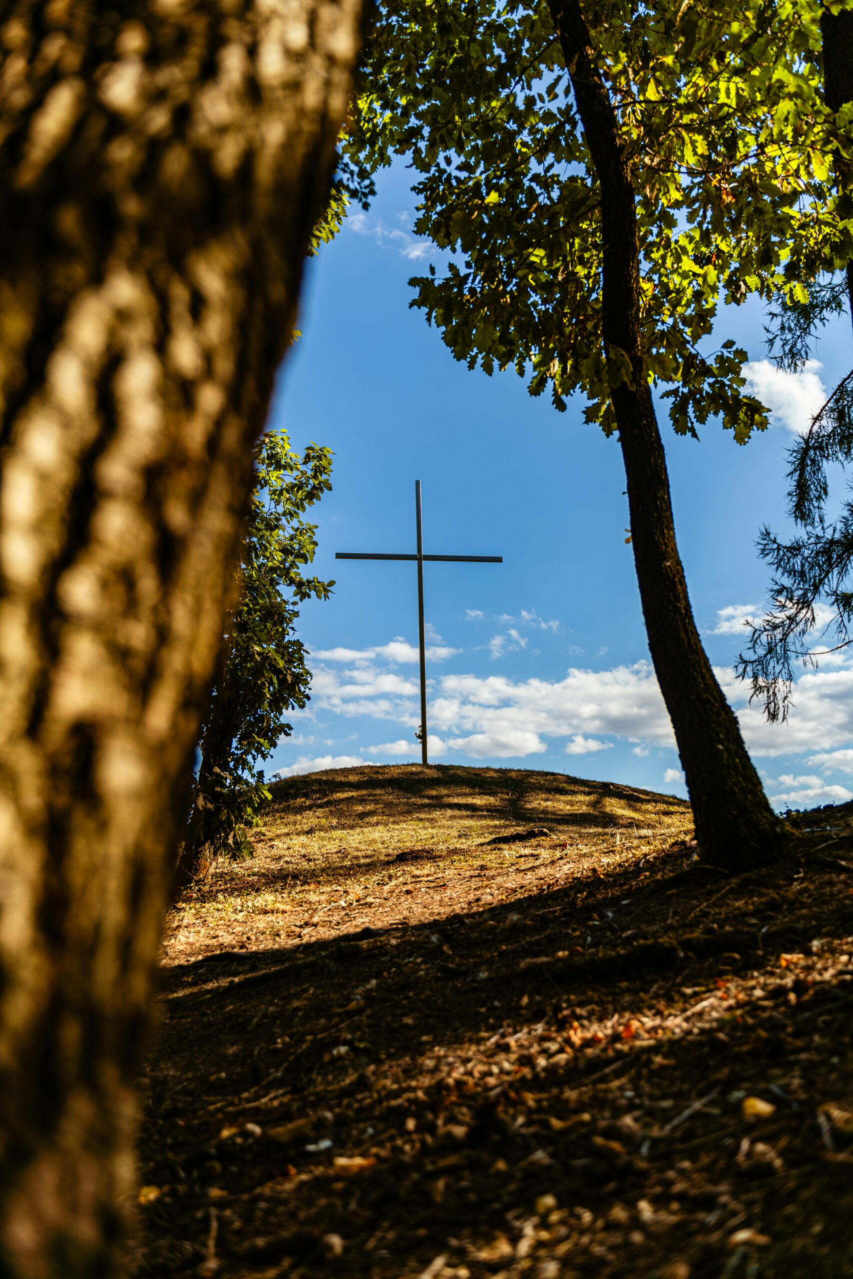 Biblia abierta con luz suave, recordando la esperanza del evangelio