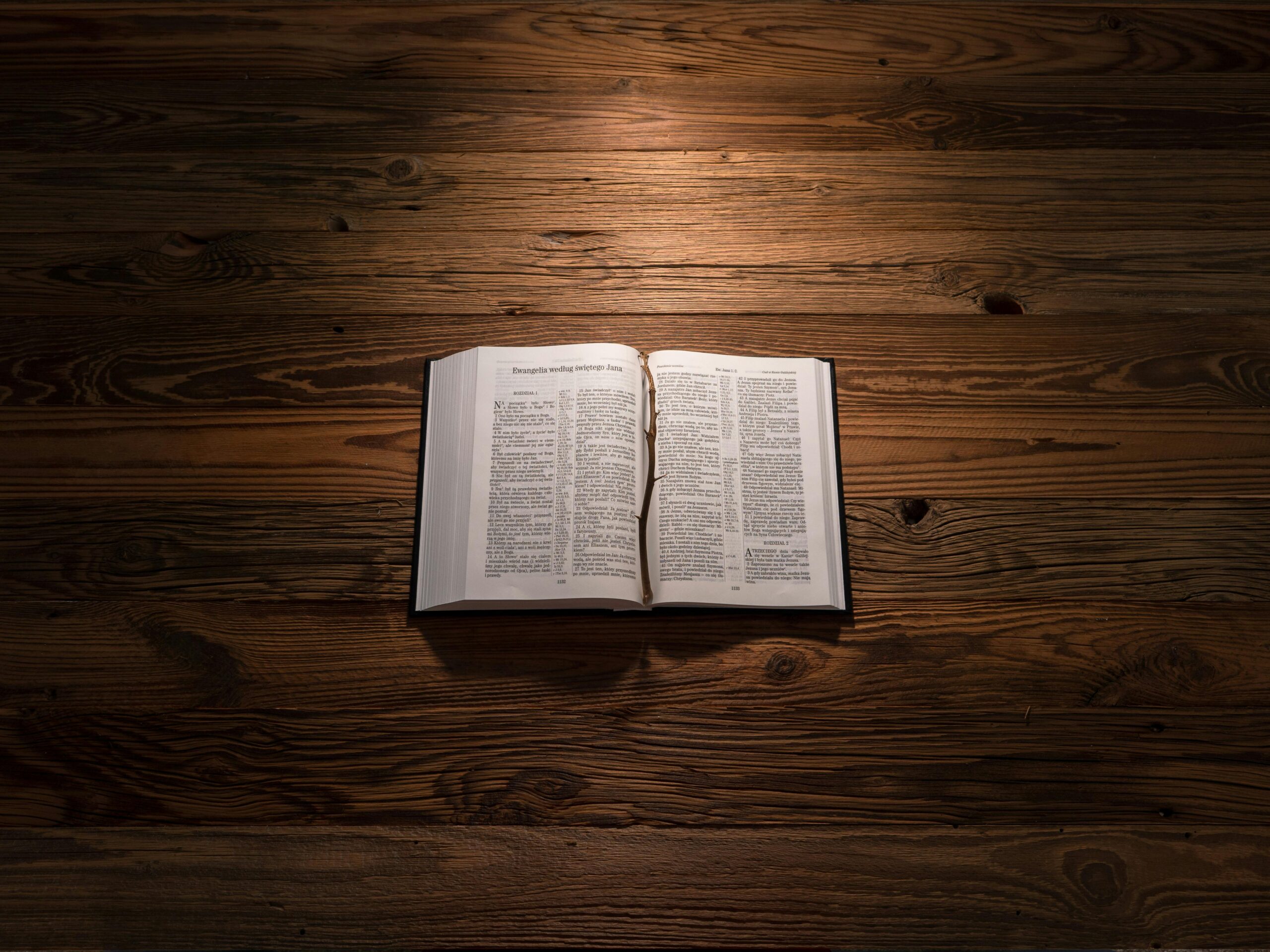 Creyente leyendo la Biblia al amanecer