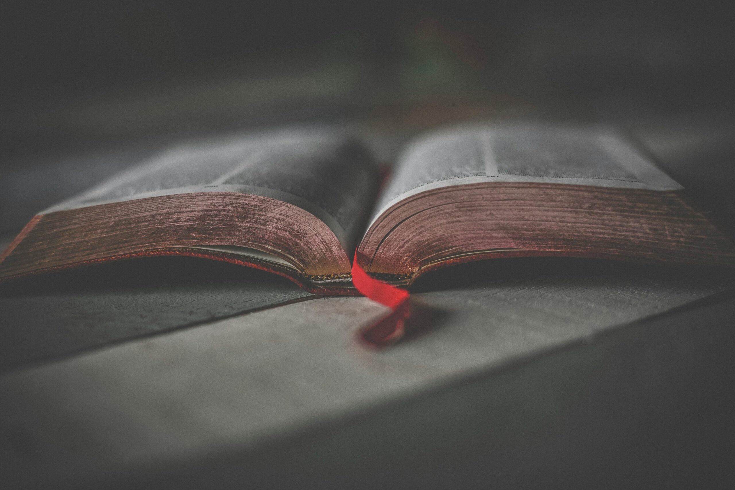 Biblia abierta sobre una mesa con luz natural